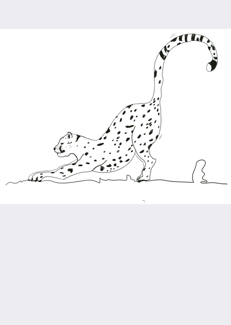 MOOD (Size variable)