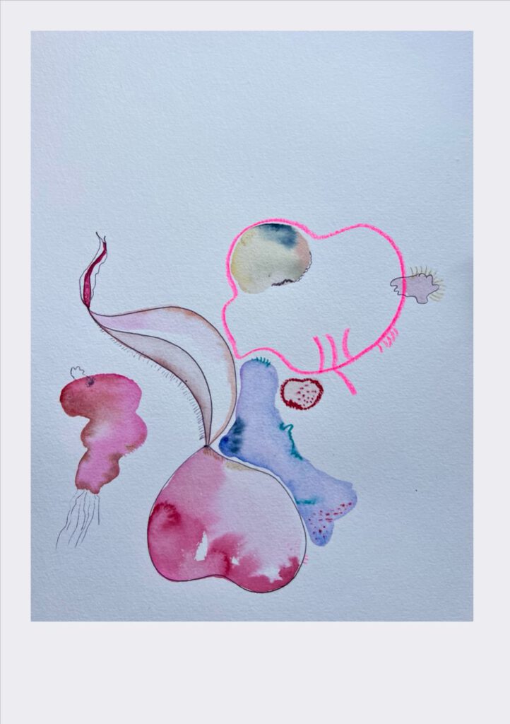EXPANDER-15 21x30cm